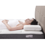 Silverness Pillow